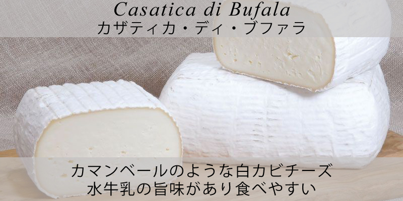 ピアッティ　カザティカ・ディ・ブファラ