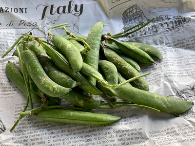 イタリア産　フレッシュ・ピゼッリ（グリーンピース）250g